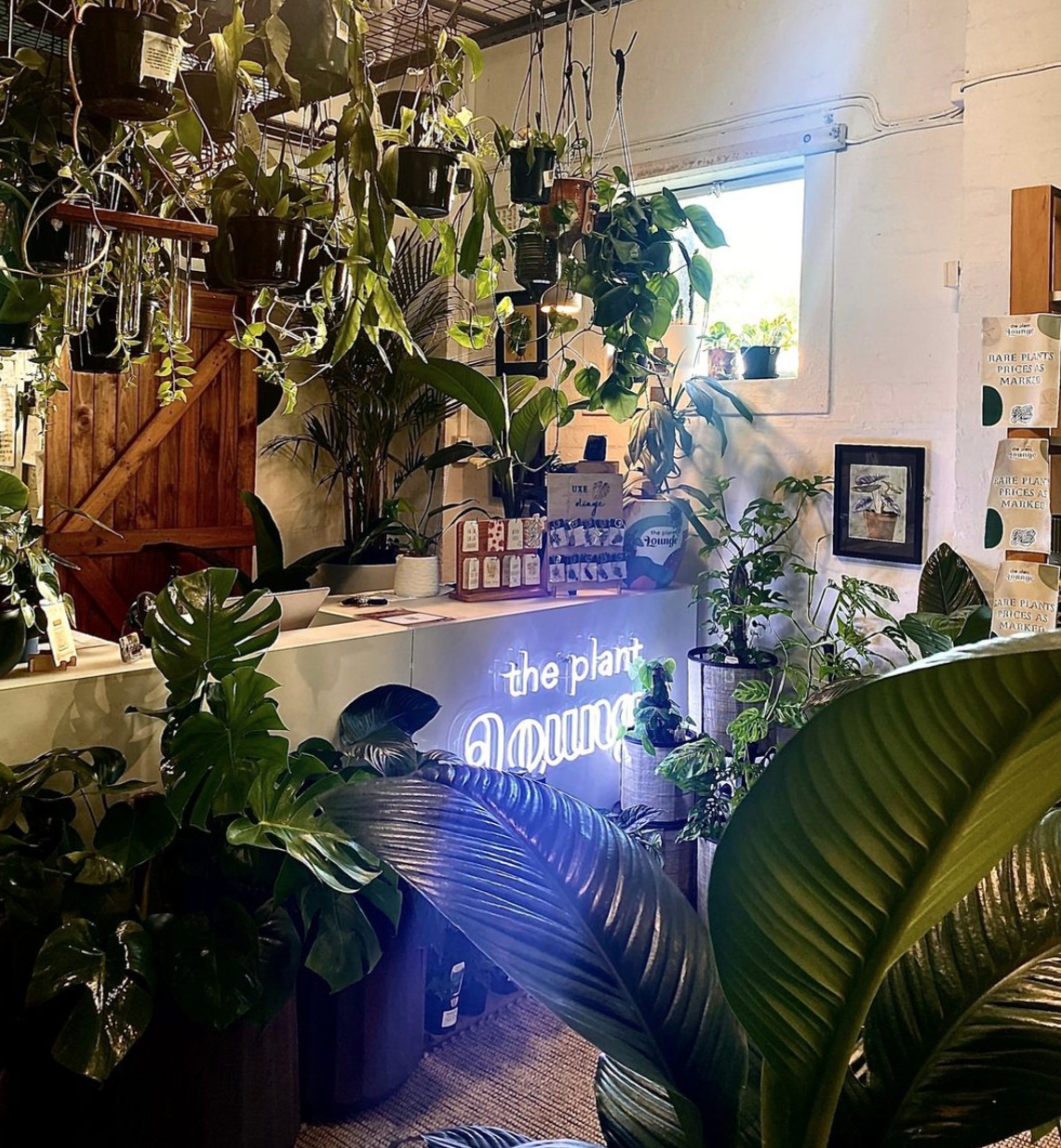 The Plant Lounge